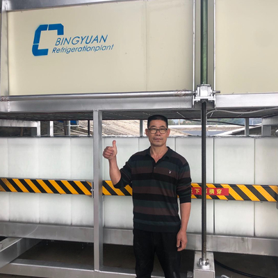 máquina de gelo do bloco 10T que faz para o tipo comercial refrigerando direto da máquina do bloco de gelo dos refrigeradores