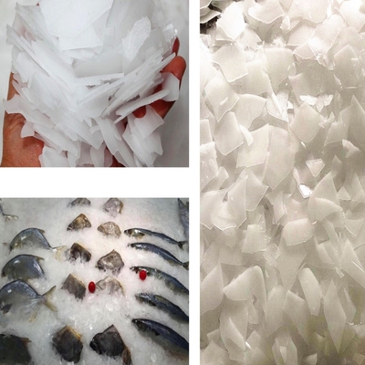 Máquina de fatura de gelo industrial 8tons do floco para a indústria da pesca